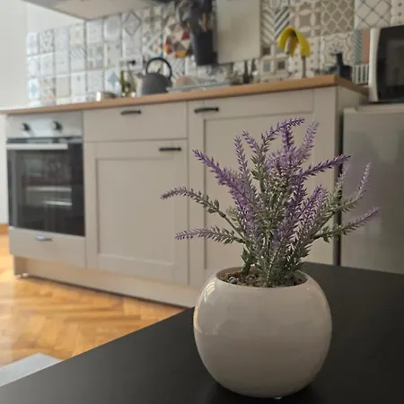 Apartment Major
